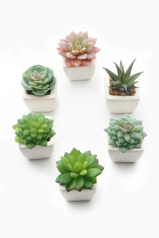 Lifelike Succulent Plant Decor-6 Assortment Pack CGF0197 (Set of 1 pcs) Festival unclassified dresses Lifelike Succulent Plant Decor-6 Assortment Pack CGF0197 (Set of 1 pcs) Festival unclassified dresses